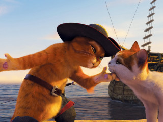 Cat dog pirate ship furry - a ship in the background free wallpaper