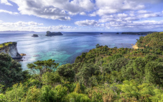 Tropical island scenic water bridge - a scenic view free wallpaper