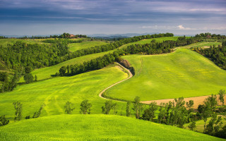 Green field winding path trees - winding free wallpaper for desktop