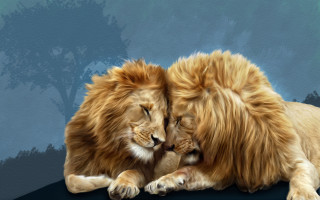 Lion couple digital painting forest - anthony devas free wallpaper