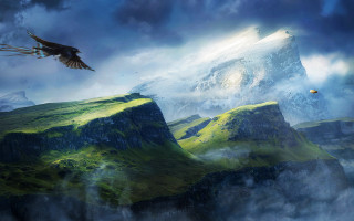 Bird mountain flying forest sky - over a mountain free wallpaper