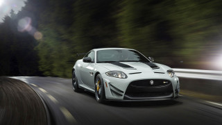 White car forest night headlights - headlight free wallpaper