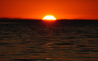 Sunset ocean boat bird cloud 2 - the water and a bird free wallpaper