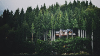House forest boat trees peaceful - peaceful free wallpaper