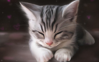 Kitten sleeping bed photorealistic painting - soft painting free wallpaper