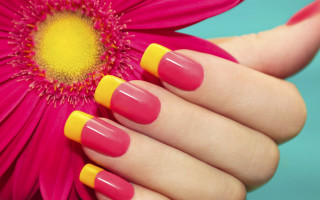 Woman hand pink yellow manicure - a womans hand free wallpaper