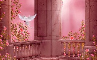 White bird flying pink building - a white bird free wallpaper