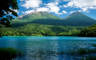 Lake mountains trees blue sky 7 - a few green plant free wallpaper