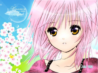Pink hair yellow eyes flower - alice prin free wallpaper