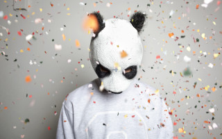 Panda mask confetti autumn leaves - studio photo free wallpaper