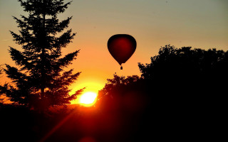 Hotairballoon forest sunset leaves backlighting - a hot air balloon free wallpaper