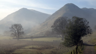 Foggy mountain path tree field - in the foreground free wallpaper