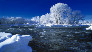 Winter river ice snow trees - a river free wallpaper