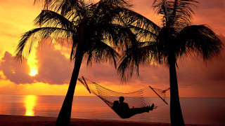 Beach sunset hammock palm trees - a hammock free wallpaper