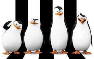 Three penguins blackwhite striped middle - three penguin free wallpaper