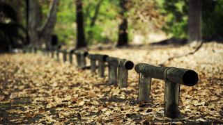 Metal pipes leaves forest bokeh - ground next free wallpaper