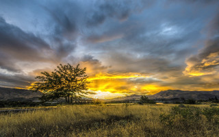 Tree field sunset clouds mountains - a tree in a field free wallpaper