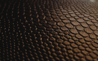 Brown surface circles texture blurry - free textures wallpaper