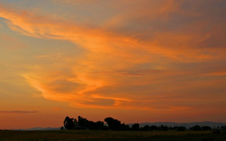 Sunset plane clouds trees cityscape - stroke free wallpaper