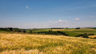 Grass field clouds sky landscape - landscape free wallpaper