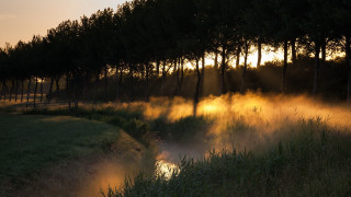 River forest sunset fog light - volumetric light free wallpaper