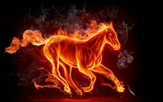 Horse running fire field flames 3 - a fire free wallpaper