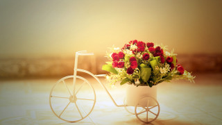White bicycle flower basket yellow - a basket of flowers free wallpaper
