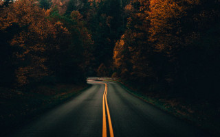 Forest road mountains night starry - the background and a mountain in the distance free wallpaper