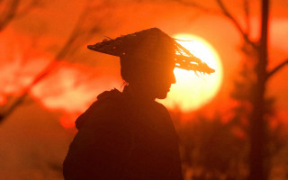 Person hat sunset trees blurry - a sunset free wallpaper for desktop