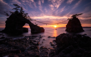 Sunset bridge water rocks trees - rock and trees free wallpaper