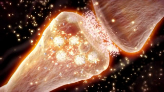 Closeup food water bubbles stars - the middle of a body free wallpaper