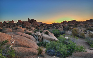 Sunset rocky landscape plants bushes - a few bush free wallpaper