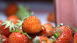 Strawberries milk blurry background macro - impressionism free wallpaper
