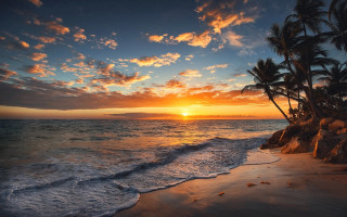 Sunset ocean palm trees rocky - orange sun free wallpaper