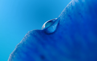 Drop water blue surface mountain - a drop of water free wallpaper