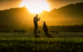 Golf playing man child sunset - photograph free wallpaper