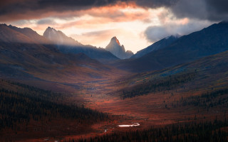 Mountain river forest sunset sky - a few tree free wallpaper for desktop