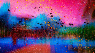 Colorful birds water sky building - albert irvin free wallpaper