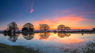 Sunset trees water reflections cityscape - tree and a body of water free wallpaper