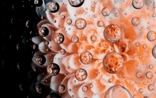 Water droplet bubbles underwater macro - ernst haeckel free wallpaper