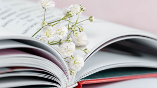 Flower book illustration red ribbon - top of it next free wallpaper