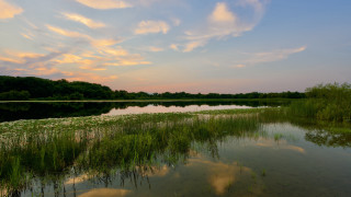 Lake water plants clouds sunset - cloud above free wallpaper