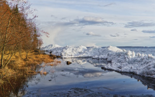 Lake snowy mountains trees cloudy - lake free wallpaper