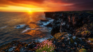 Sunset ocean cliff flowers shore - a sunset over the ocean free wallpaper