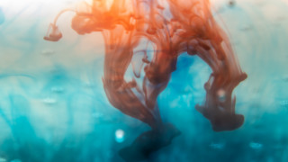 Blue red liquid white plant - liquid free wallpaper