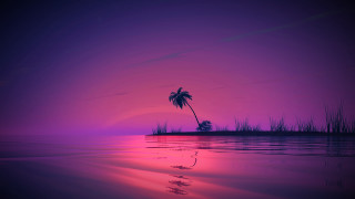 Palm tree sunset purple water - synthwave style free wallpaper