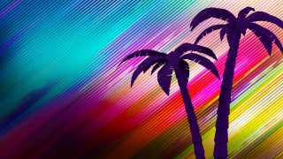 Palm trees multicolored stripe pattern - diagonal free wallpaper for desktop