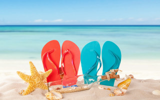 Flipflops starfish beach summer vibrant - blue water free wallpaper