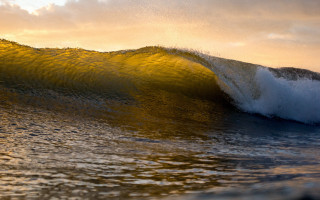 Wave yellow light surfing artist - side and a person free wallpaper