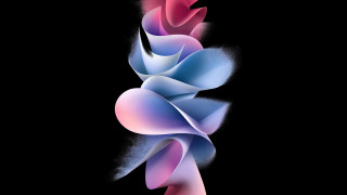 Colorful flower black background white 7 - a colorful flower free wallpaper